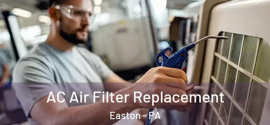  AC Air Filter Replacement Easton - PA