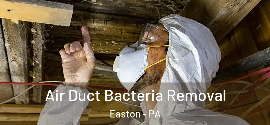  Air Duct Bacteria Removal Easton - PA