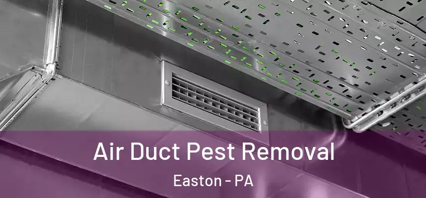  Air Duct Pest Removal Easton - PA