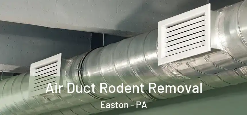  Air Duct Rodent Removal Easton - PA