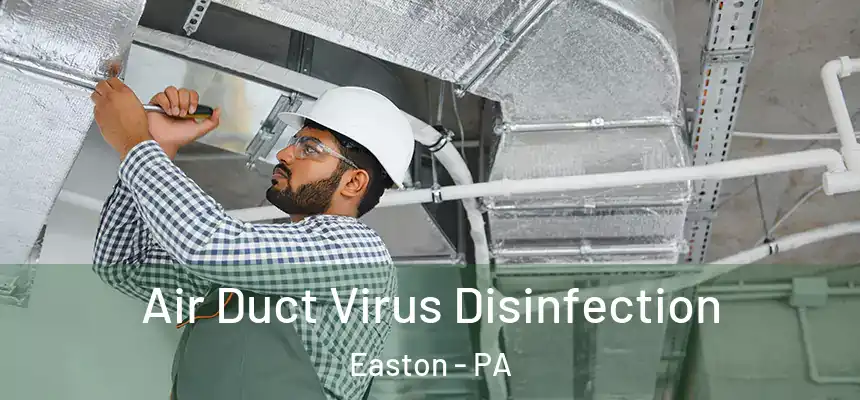  Air Duct Virus Disinfection Easton - PA