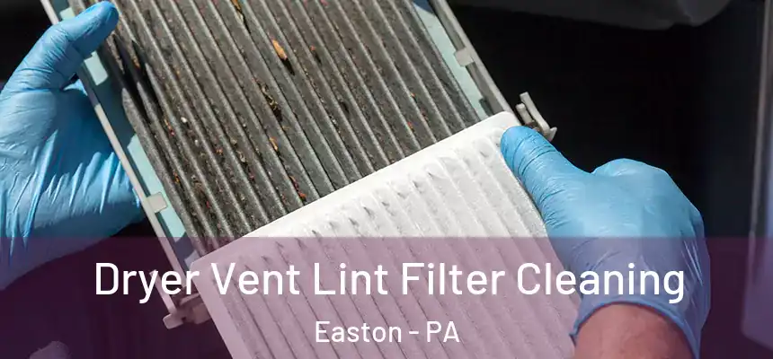  Dryer Vent Lint Filter Cleaning Easton - PA