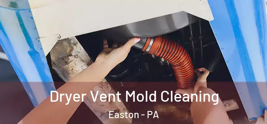  Dryer Vent Mold Cleaning Easton - PA