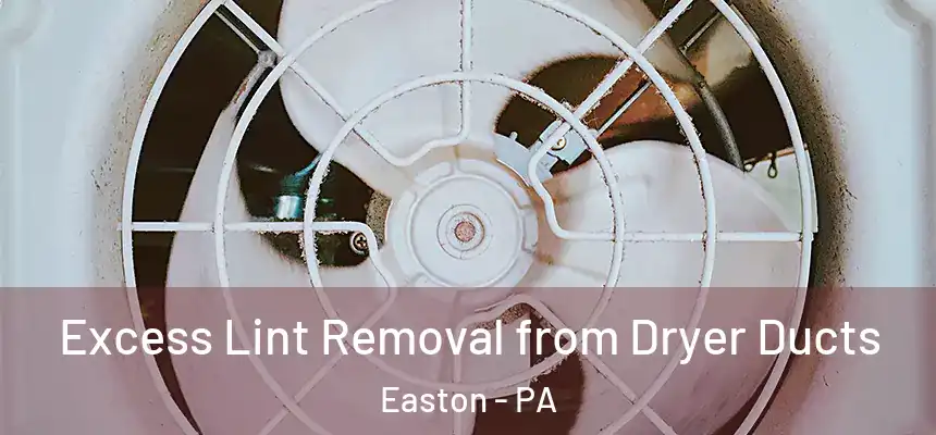  Excess Lint Removal from Dryer Ducts Easton - PA