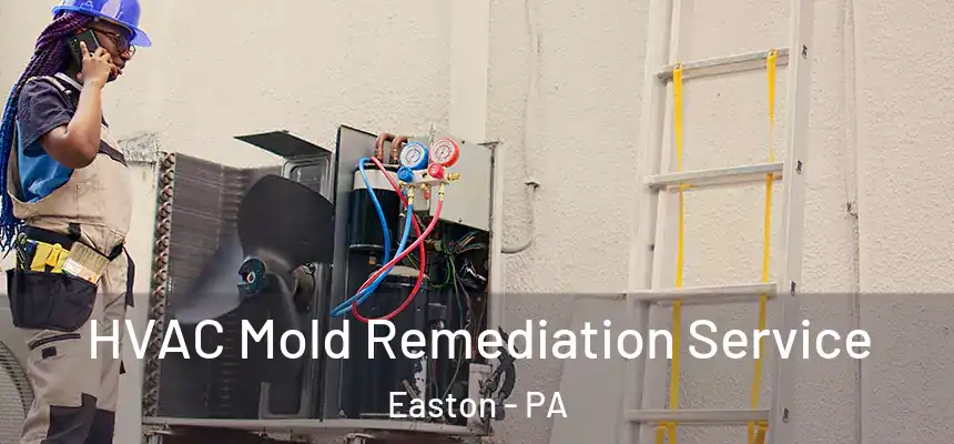  HVAC Mold Remediation Service Easton - PA