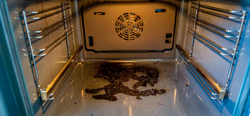 Our Dryer Vent Mold Cleaning Services in Easton, PA