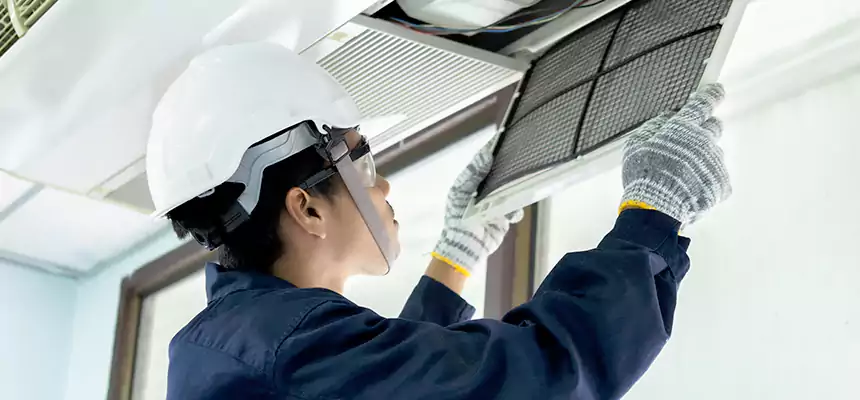 Our Mold & Mildew Removal from Air Ducts Services in Easton, PA