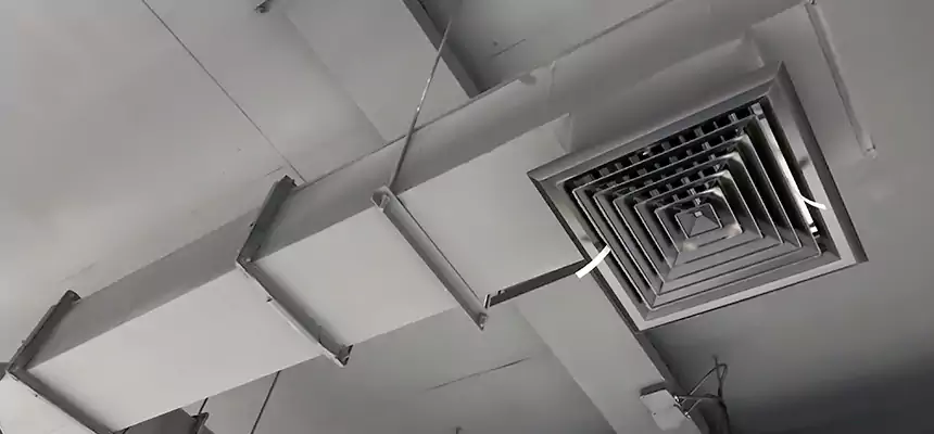 Our Rodent Droppings In Vents Services in Easton, PA