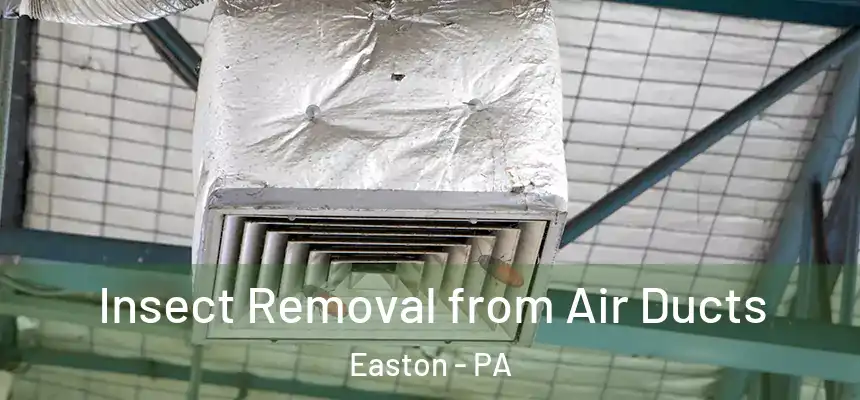  Insect Removal from Air Ducts Easton - PA