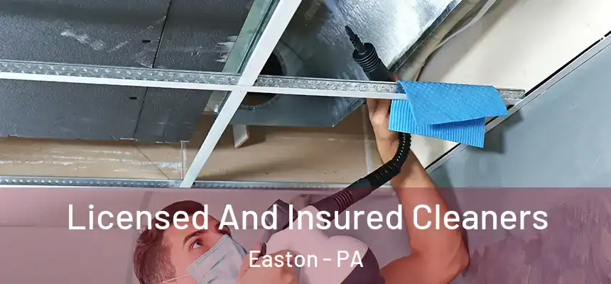  Licensed And Insured Cleaners Easton - PA