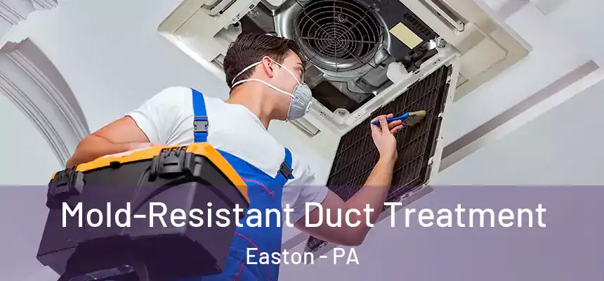 Mold-Resistant Duct Treatment Easton - PA