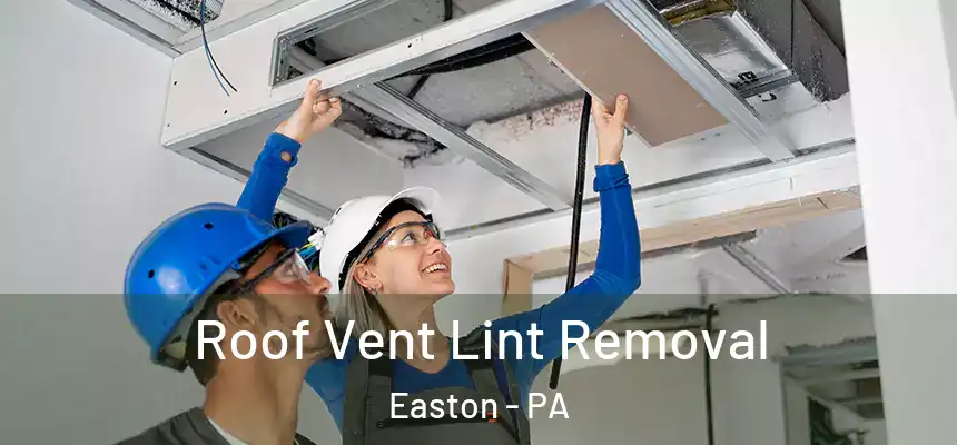  Roof Vent Lint Removal Easton - PA