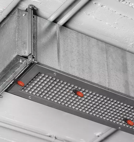 About Air Duct Cockroach Removal in Easton, PA