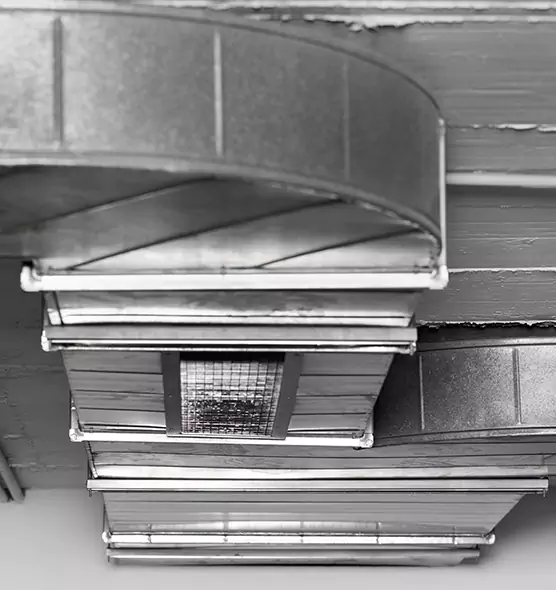 Professional Air Duct Pest Removal in Easton, PA