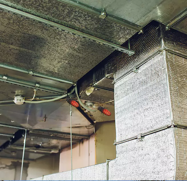 Why Homeowners & Businesses Trust Us in Easton, PA?