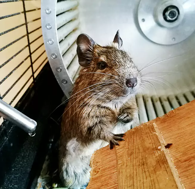 Why Homeowners & Businesses Trust Us Easton, PA?